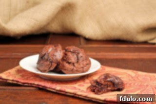 Flourless Fudge Cookies Flourless Fudge Cookies | Gluten-Free Chocolate Goodness