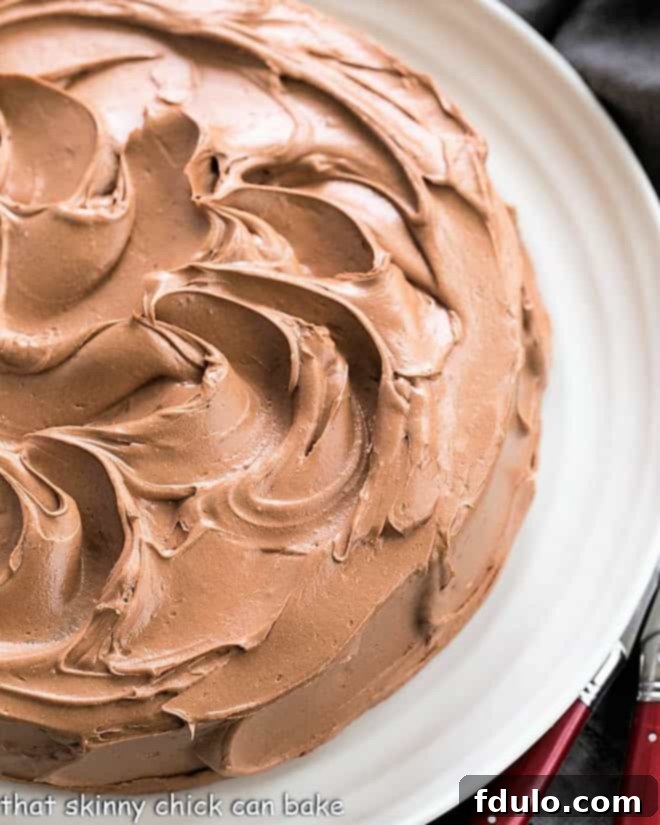 A moist and tender one layer mocha cake with an exquisite, silky chocolate Swiss Meringue Buttercream Frosting Overhead view of a one layer mocha cake on a white serving plate