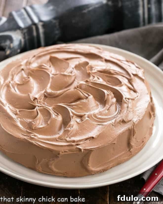 A moist and tender one layer mocha cake with an exquisite, silky chocolate Swiss Meringue Buttercream Frosting Frosted One Layer Mocha Cake on a white dessert plate