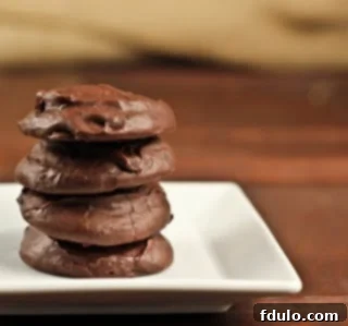 Death by Chocolate Cookies - the inspiration for our Black Gold Cookies An older photo of Death by Chocolate Cookies on a white plate from 2011, showing a slightly different texture.