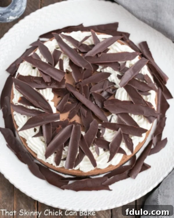 Chocolate Shards topping an Easy Chocolate Mousse Cake on a white dessert plate, showcasing their elegant appeal.