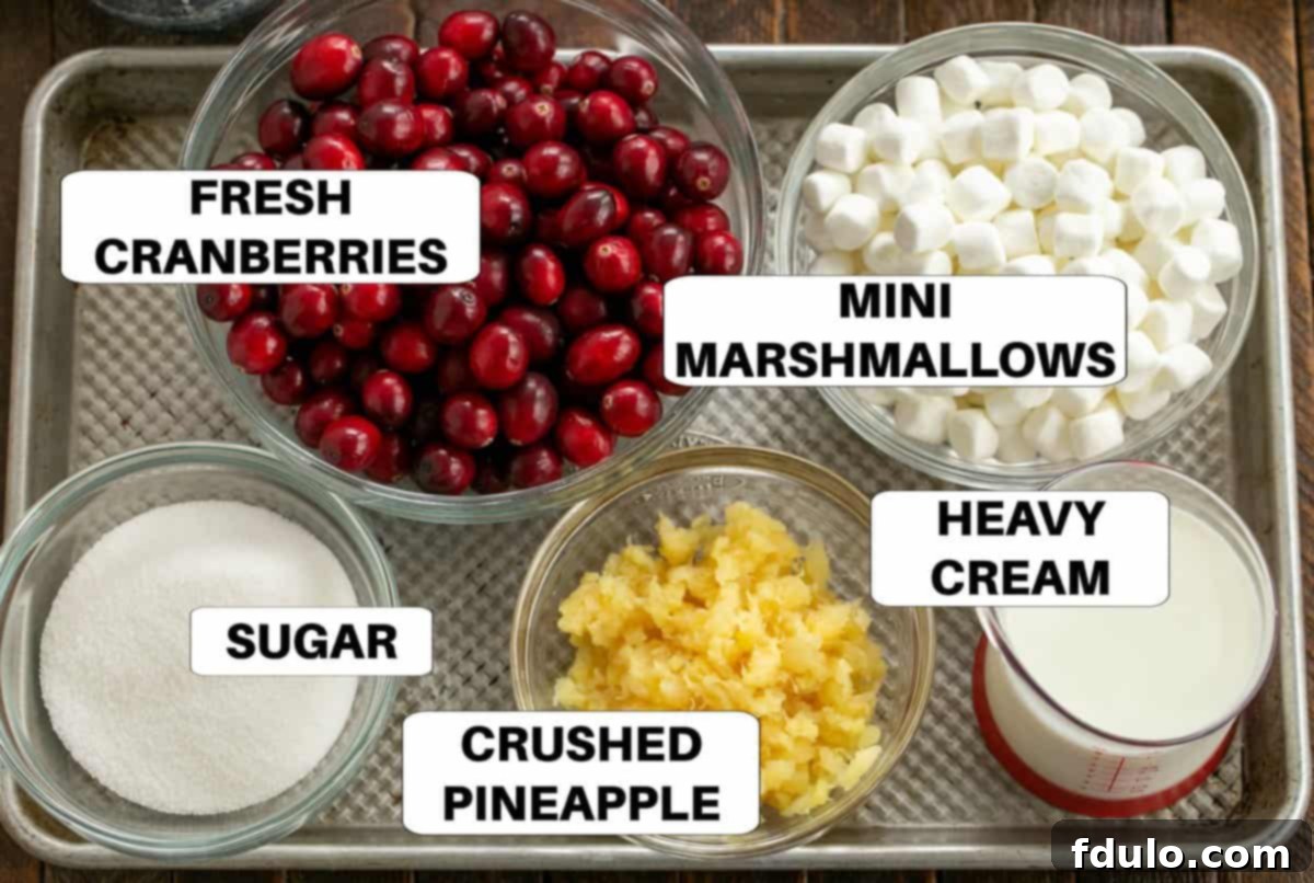 A neatly organized collection of ingredients for Cranberry Fluff, labeled on a metallic sheet pan, including fresh cranberries, sugar, crushed pineapple, mini marshmallows, and heavy cream.