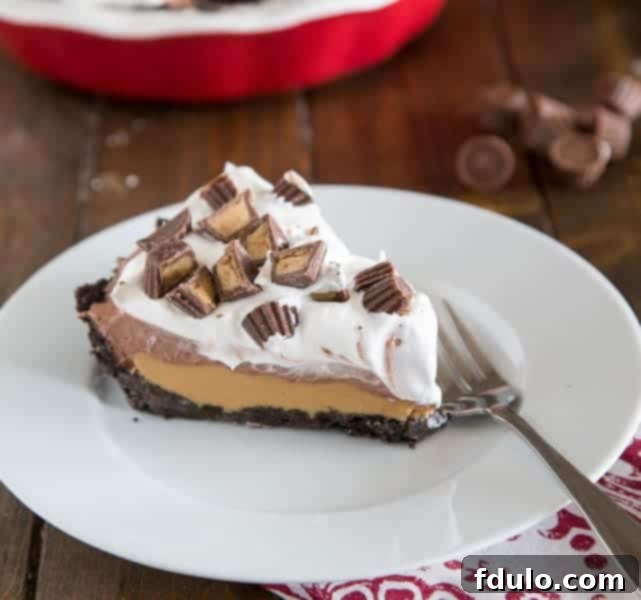Decadent No Bake Peanut Butter Cup Pie, loaded with peanut butter flavor.