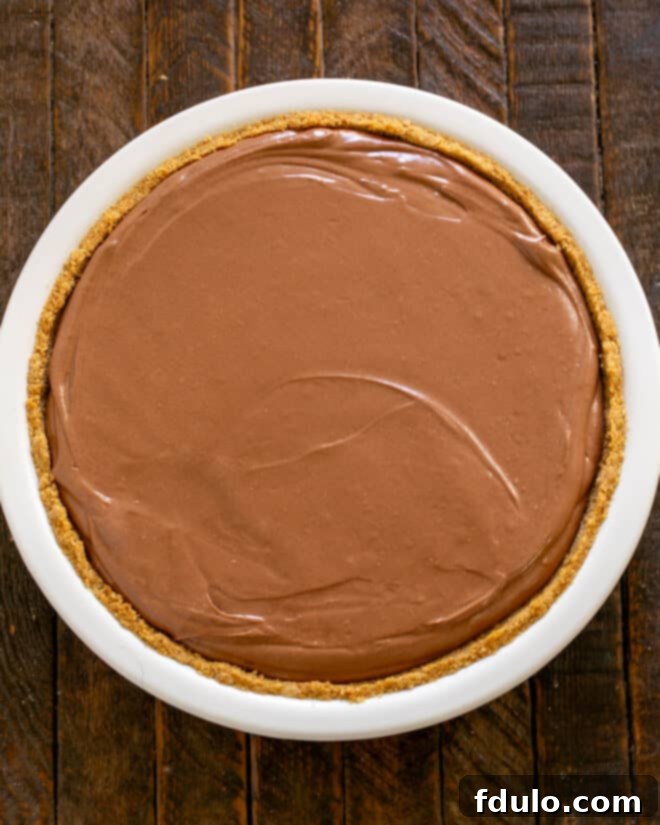 Filling added to crust, then garnish and serve.