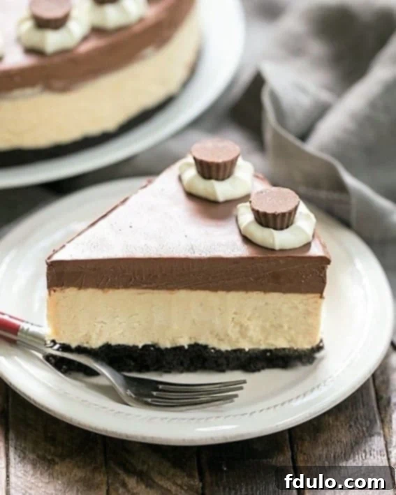 A slice of Chocolate Peanut Butter Pie on a white dessert plate with a red handled fork, showcasing its distinct layers.