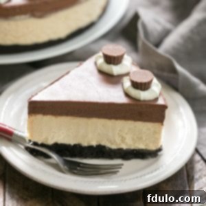 A beautifully sliced Chocolate Peanut Butter Pie with a dark crust, creamy filling, and shiny ganache topping.
