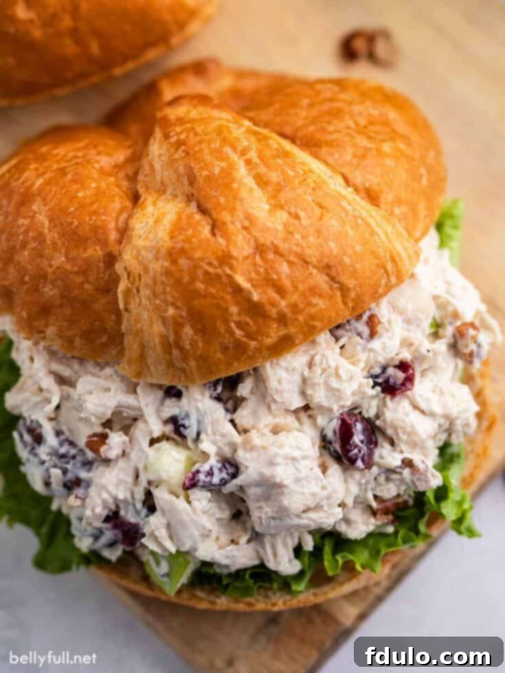 Best Chicken Salad, featuring tender chicken, cranberries, apples, and pecans, served in a lettuce cup.