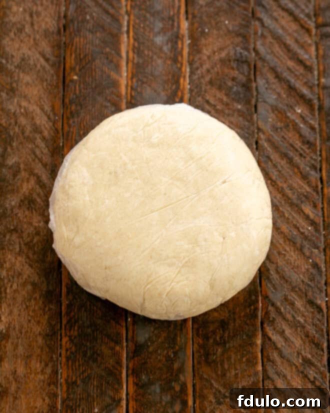 The apple galette dough, perfectly processed and formed into a disk, wrapped in plastic wrap and ready for chilling.