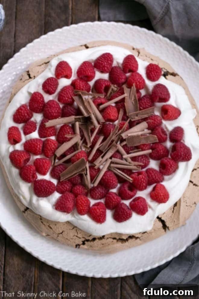 Overhead view of Chocolate Raspberry Pavlova on a white ceramic plate, ready to be served.