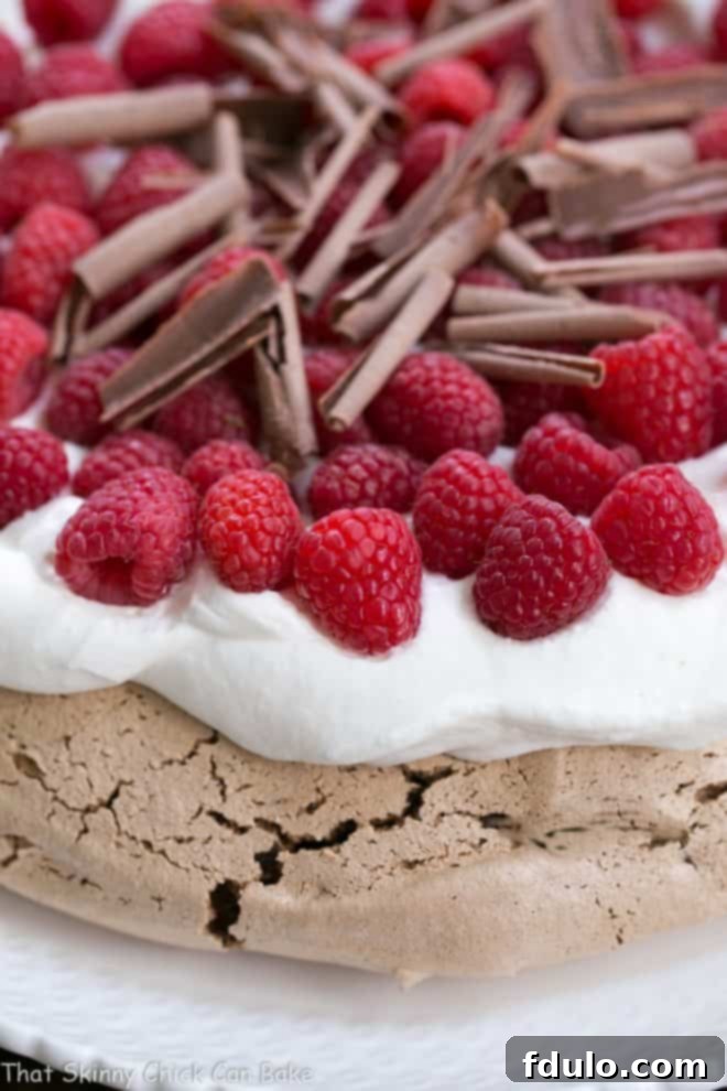 Close-up of the edge of a Chocolate Raspberry Pavlova topped with chocolate shavings, showing the meringue texture.