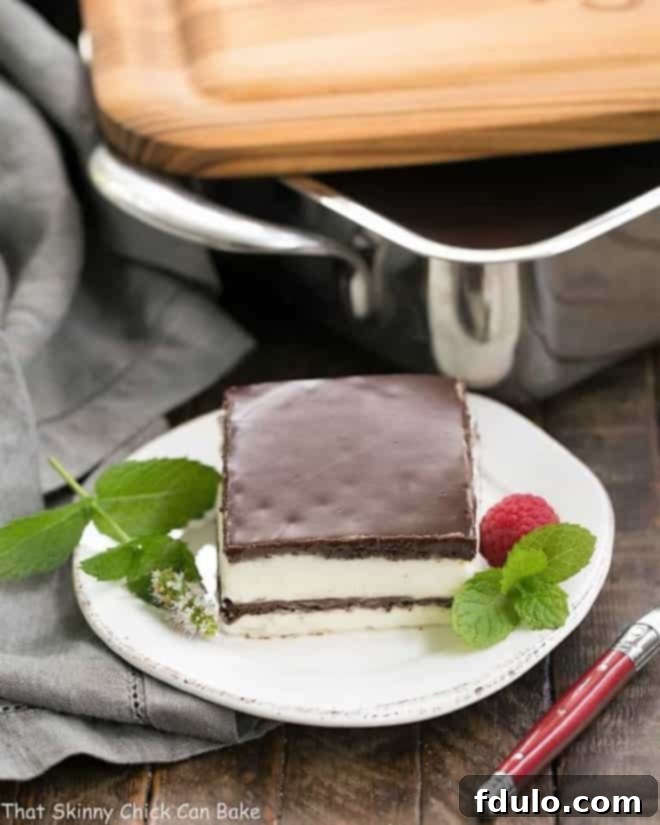 A pristine slice of No-Bake Chocolate Lasagna on a white plate, elegantly garnished with a fresh mint leaf and a ripe raspberry, highlighting its perfect layers.