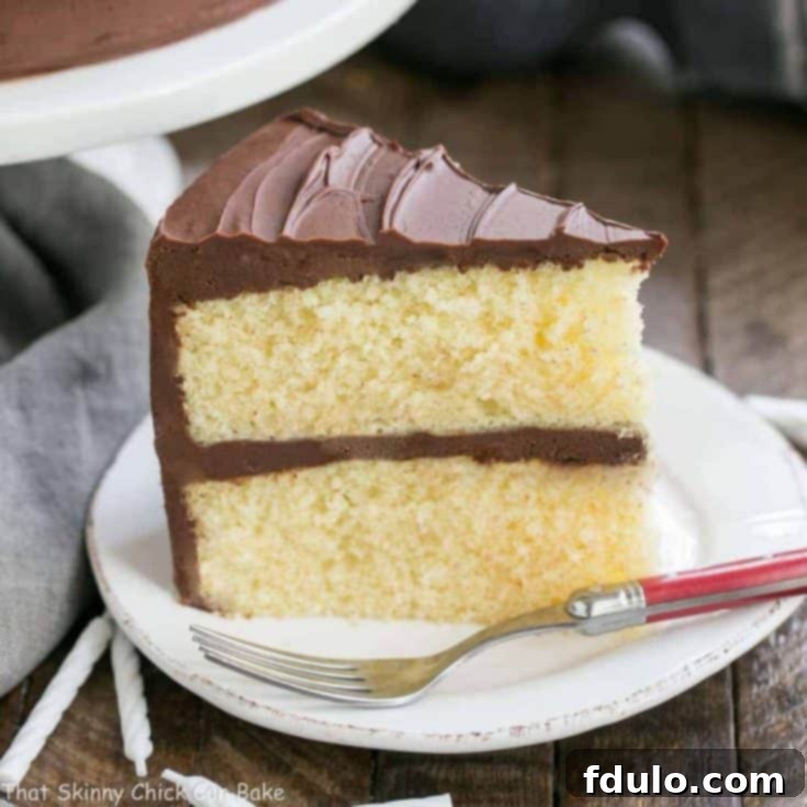 Classic Yellow Butter Cake with Chocolate Icing | The ultimate scratch-made cake for any celebration!