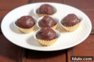 A pristine white plate showcasing an array of freshly made, professional-looking chocolate candies.