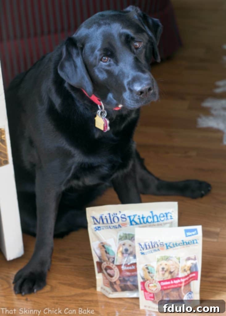 Peanut Butter Dog Bone Treats | Homemade dog snacks your pet will adore!