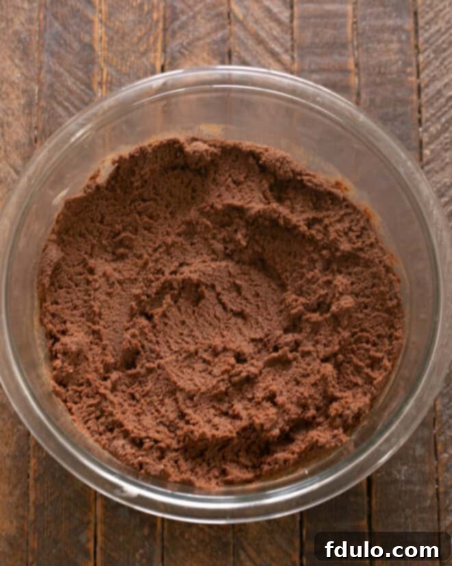 Dry ingredients, including flour and cocoa powder, being gradually mixed into the wet ingredients in a large bowl, forming a rich, dark cookie dough.