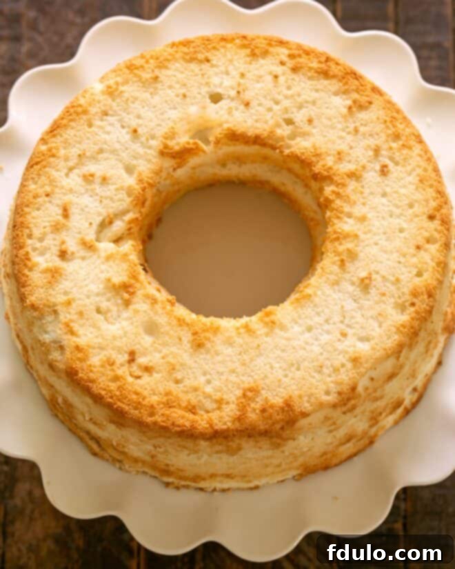 The top of the angel food cake being replaced after filling, followed by frosting the entire cake with whipped cream.
