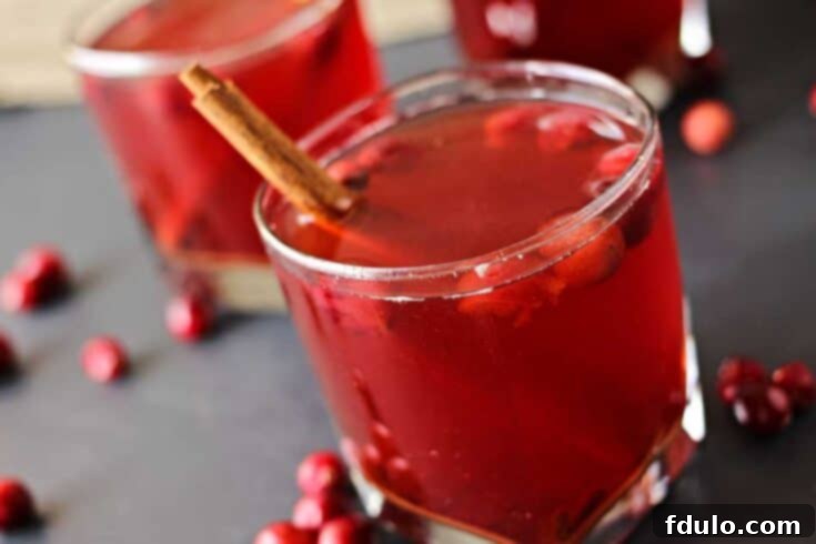 Crock Pot Cranberry Cider