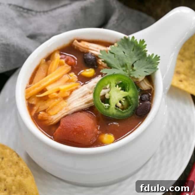 Slow Cooker Chicken Enchilada Soup
