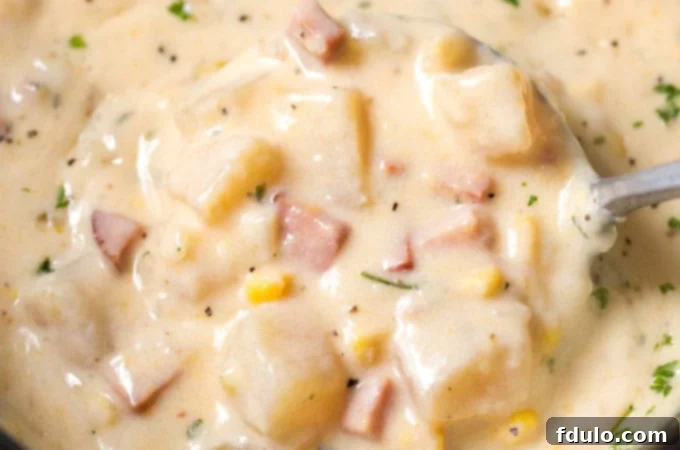 Slow Cooker Cheesy Ham Chowder