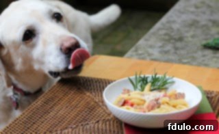 Lambeau loves this easy Italian Skillet Pasta!