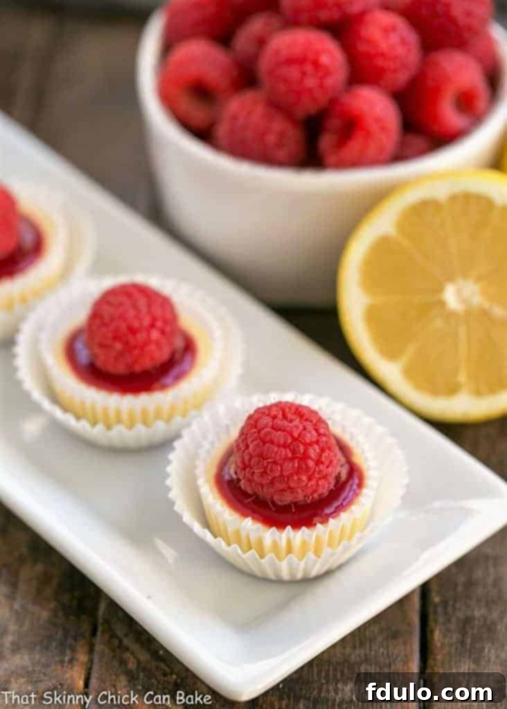 Indulge in these delightful mini cheesecakes, perfectly portioned and crowned with a generous dollop of raspberry sauce and a fresh raspberry – a truly impressive and delectable dessert for any event. Elegant raspberry-topped mini cheesecakes arranged artfully on a pristine white platter, highlighting their vibrant color and delicate presentation. Perfect for a dessert buffet or special occasion.