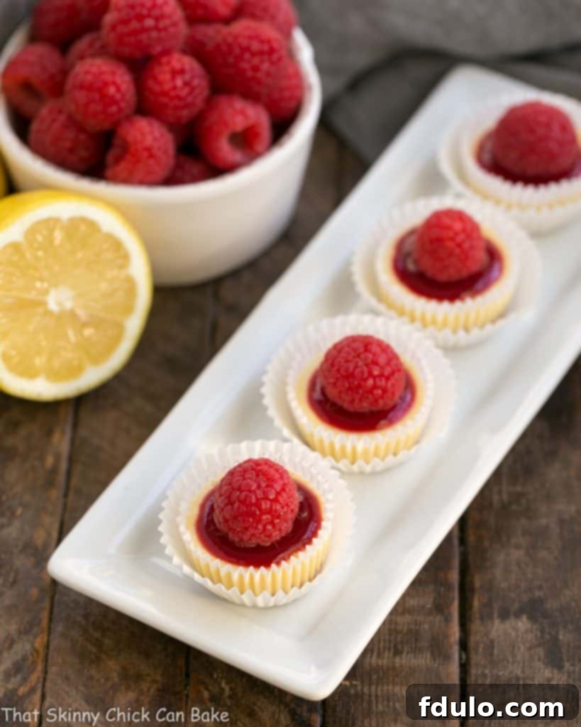 Bite-Sized Raspberry Cheesecakes 2 A pristine white dessert platter showcases an array of raspberry-topped mini cheesecakes, artfully arranged for an elegant presentation that promises a delightful culinary experience.