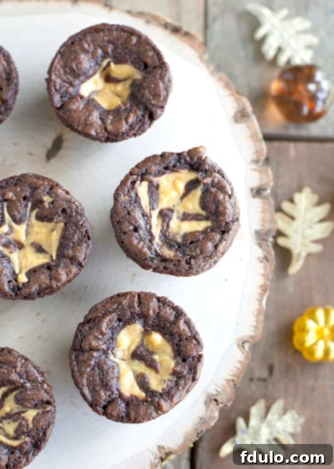 Delightful Pumpkin Cheesecake Brownie Bites, individually portioned and topped with a visible, creamy cheesecake swirl, creating a beautiful marbled effect.