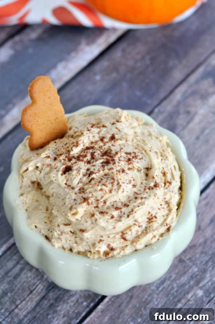 A creamy bowl of Four Ingredient Pumpkin Pie Dip, elegantly garnished with a sprinkle of cinnamon, served alongside crisp graham crackers and apple slices for dipping.