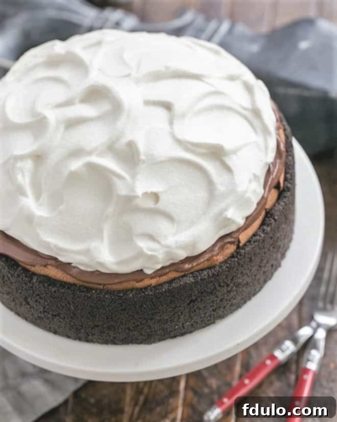 An inviting overhead view of a completed Oreo Mud Pie, beautifully presented on a white cake stand, showcases the luscious layers and decadent topping, ready to be enjoyed.