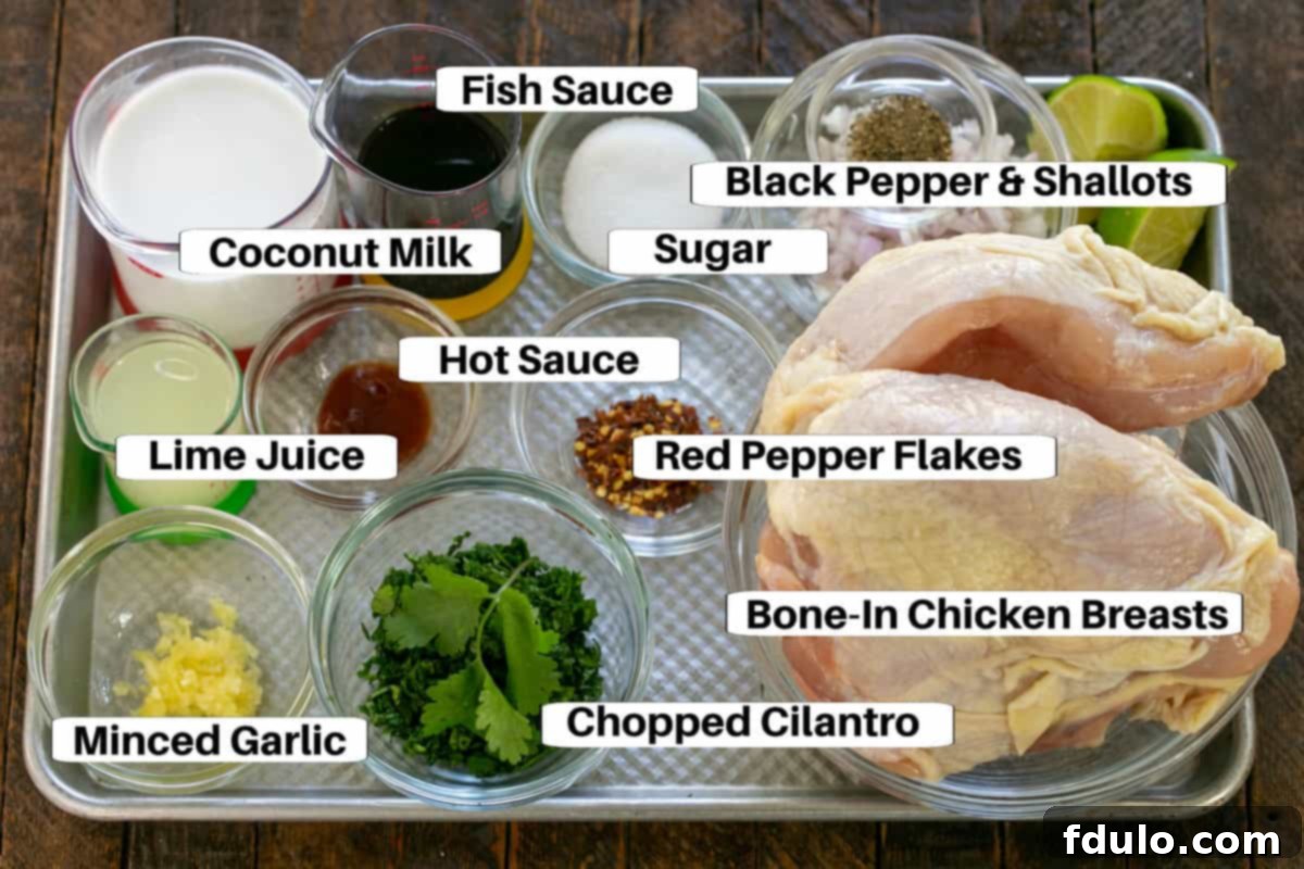 Thai Chicken Ingredients with labels on a sheetpan. All the fresh components for a delicious marinade.
