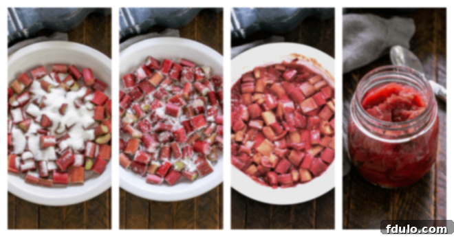 Process shots of making rhubarb compote