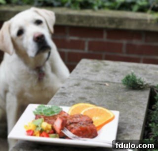 A loyal canine companion, Sweet Lambeau, curiously observing the Glazed Salmon with Fruit Salsa set on a table.