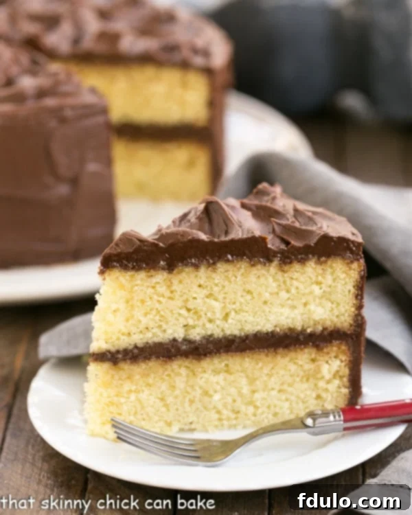 Perfect Yellow Cake Recipe with Chocolate Buttercream | An exquisite, tender yellow cake topped with dreamy chocolate frosting!