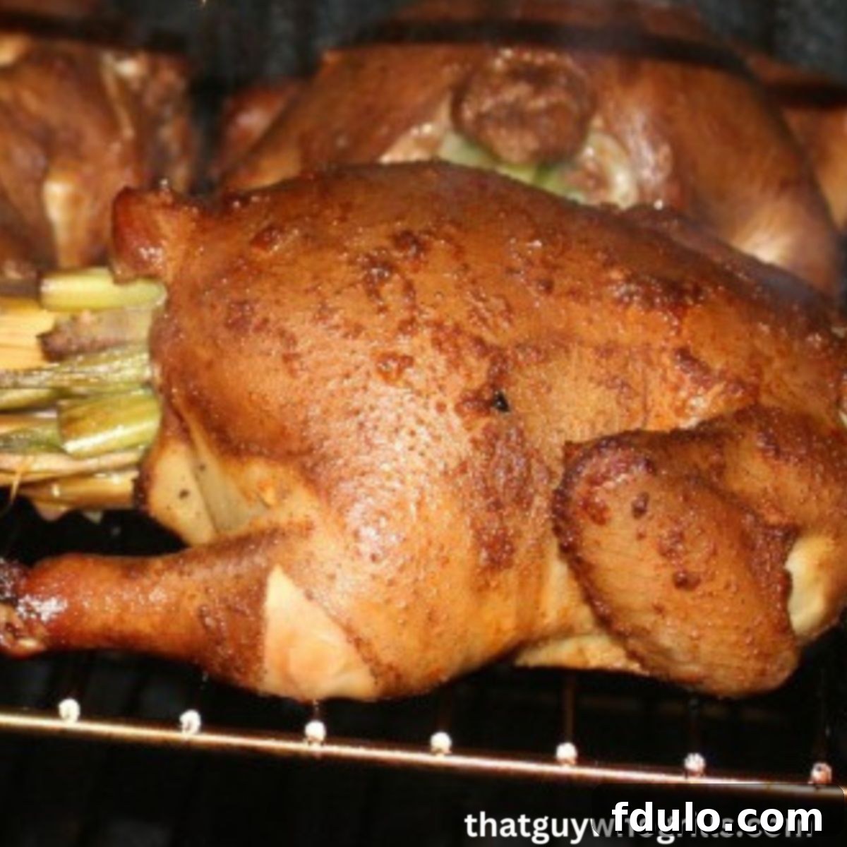 Smoked Cornish Game hens stuffed with leeks in smoker