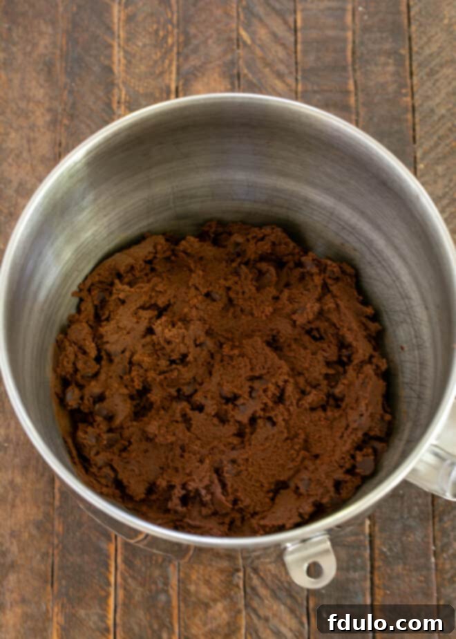 Step 3: The cookie dough being thoroughly mixed to combine all ingredients.