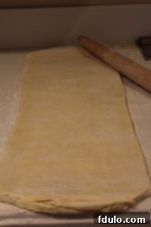 Puff pastry after second turn, looking better Puff pastry dough on the counter after the second turn, showing improved texture