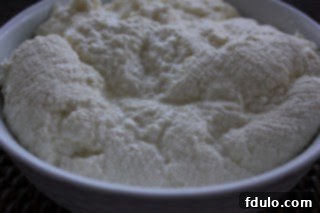 A bowl of freshly made homemade ricotta cheese, fluffy and white, ready for the cheesecake batter