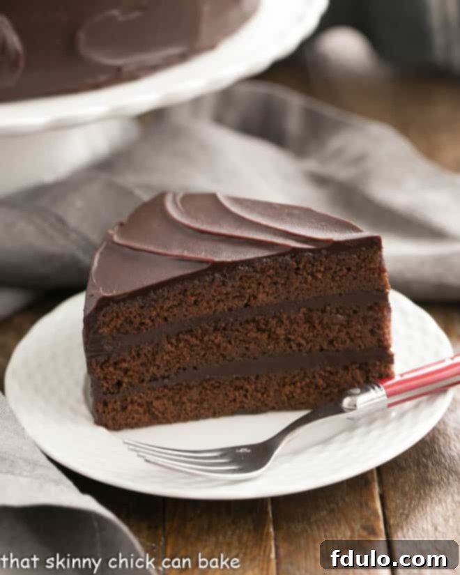 A perfectly portioned slice of Triple Layer Cocoa Cake resting on a pristine white dessert plate.