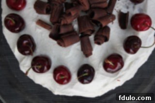 Unassembled layers of Black Forest Cake ingredients