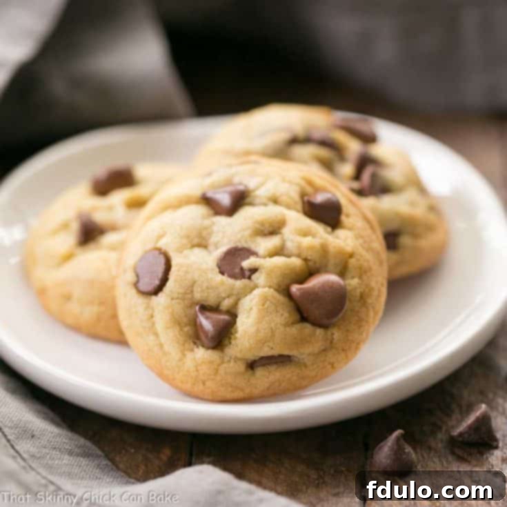 Double Chocolate Chip Cookies - chewy with milk and semisweet chocolate chips!