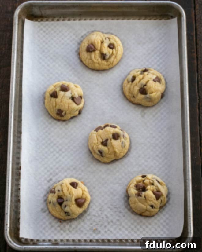Step 5: Freshly baked Double Chocolate Chip Cookies cooling on a wire rack, having just been removed from the oven, with their perfect golden edges and soft centers.