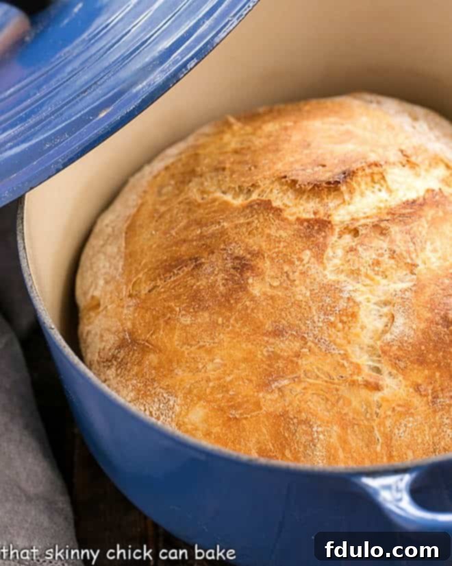 A freshly baked No-Knead Bread loaf resting inside a vibrant blue Dutch oven, showcasing its golden-brown crust.
