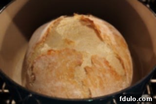 A beautifully baked No Knead Bread in a Dutch Oven, showing its golden-brown crust and inviting texture.