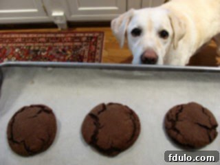 Close-up of a Rolo cookie, showing its rich chocolate dough