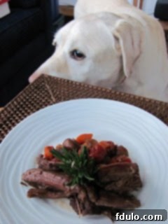 Pot Roast with Mushrooms, Tomatoes & Red Wine - This is one unforgettable pot roast with an amazing depth of flavor! Yellow lab eyeing this Pot Roast with Mushrooms, Tomatoes & Red Wine on a white plate
