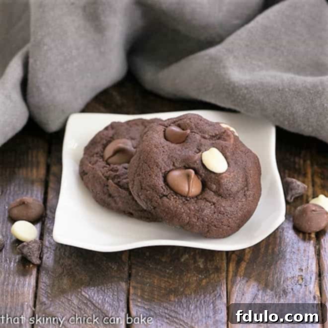 Chewy Quadruple Chocolate Cookies - outrageously delicious and perfect for all the chocoholics in your life! Quadruple Chocolate Cookies on a small, wavy, white plate.