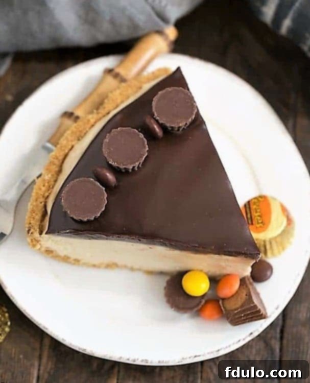 A delicious slice of Frozen Chocolate Peanut Butter Pie on a white plate, showcasing its graham cracker crust, creamy peanut butter filling, and shiny chocolate ganache.