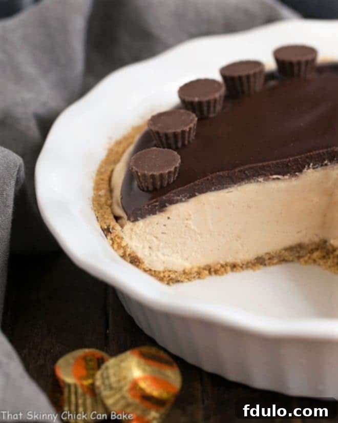 A stunning Frozen Chocolate Peanut Butter Pie, served in a white ceramic pie plate, with several slices already removed, revealing the layers of crust, peanut butter filling, and chocolate ganache.