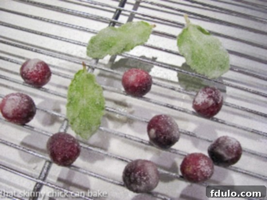 Cranberry Cognac Trifle Layers - Visual Delight