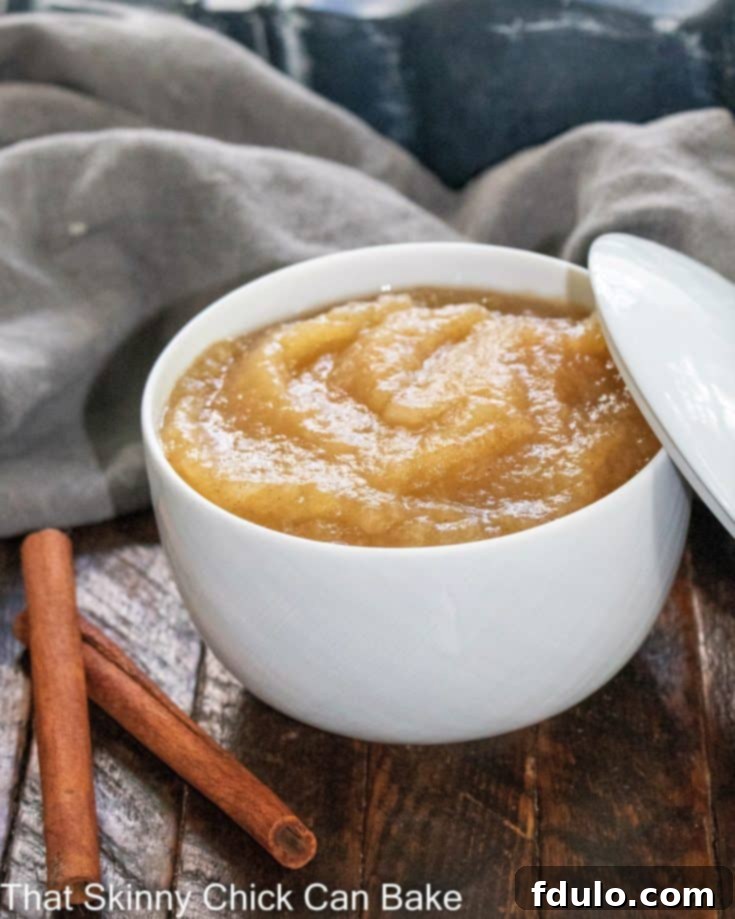 Irresistible Apple Recipes 13 A bowl of homemade cinnamon spiced applesauce with a spoon.